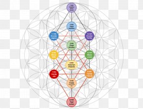 Overlapping Circles Grid Sacred Geometry Tree Of Life Mandala Metatron ...