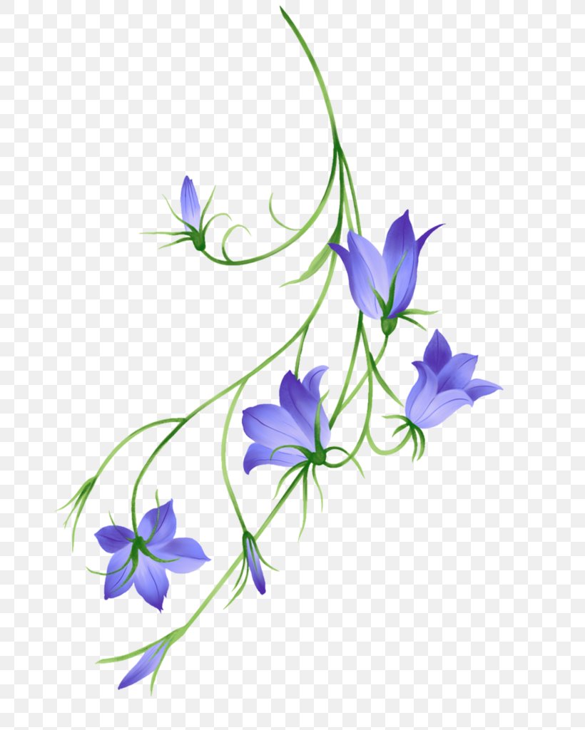 Watercolor Flower Background, PNG, 725x1024px, Watercolor Painting, Balloon Flower, Bellflower, Bellflower Family, Delphinium Download Free