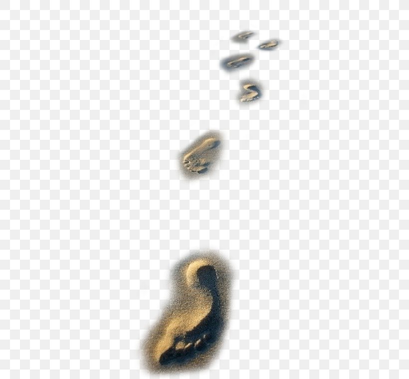 Beach Sand Footprint Download, PNG, 582x759px, Beach, Body Jewelry, Concepteur, Designer, Footprint Download Free