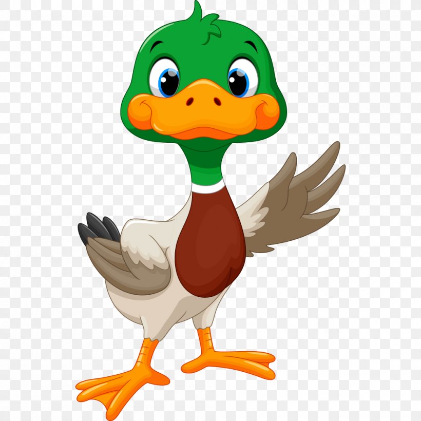 Duck Goose Clip Art, PNG, 1000x1000px, Duck, Beak, Bird, Cartoon, Chicken Download Free