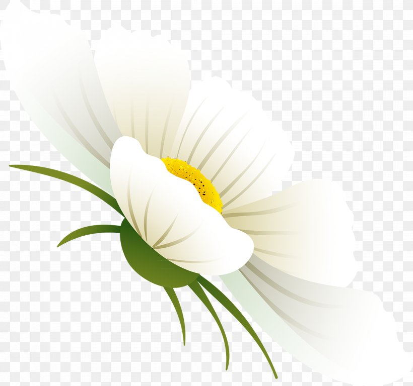 Flower Petal Desktop Wallpaper Plant Stem, PNG, 1200x1124px, Flower, Close Up, Computer, Daisy, Flora Download Free