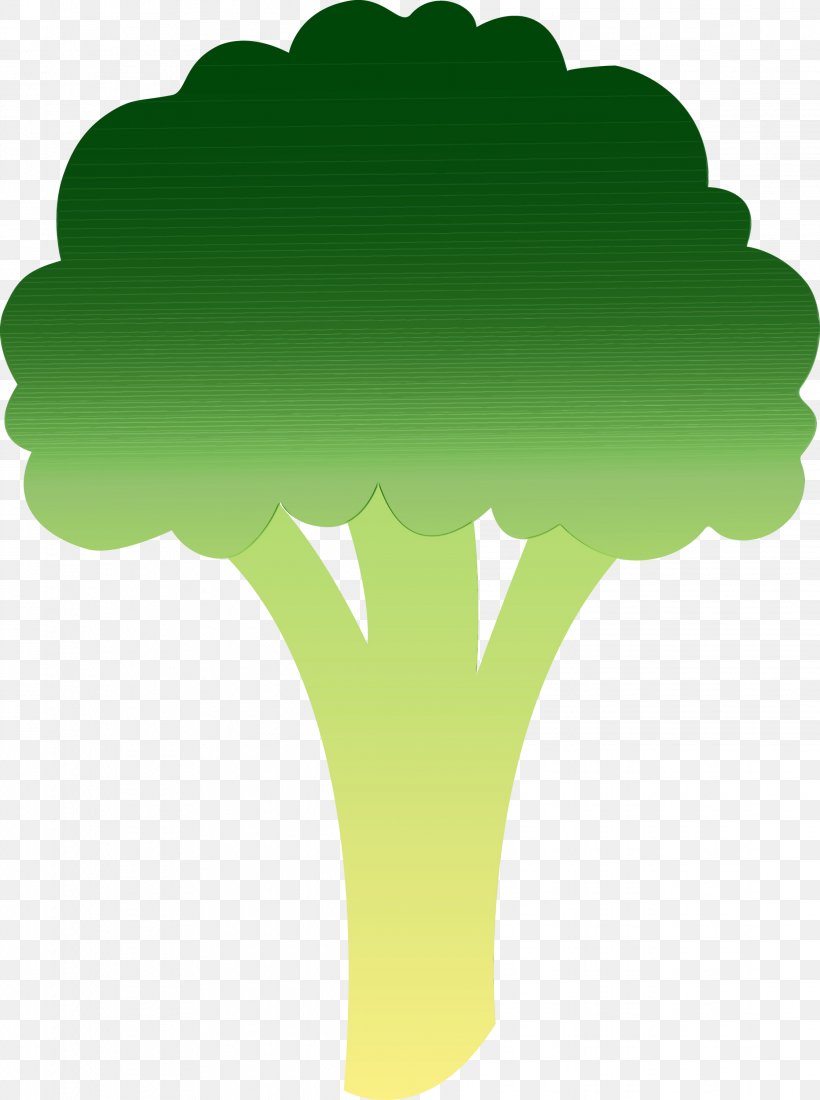 Green Leaf Watercolor, PNG, 2236x3000px, Watercolor, Broccoli, Brussels Sprouts, Cabbage, Cauliflower Download Free