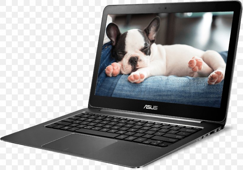 Laptop ASUS ZenBook UX305 Intel, PNG, 954x671px, Laptop, Asus, Asus Transformer Book T300 Chi, Asus Zenbook Ux305, Boston Terrier Download Free