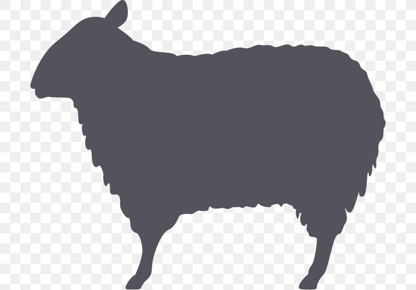 Sheep Clip Art Vector Graphics Illustration, PNG, 700x572px, Sheep, Art, Bovine, Bull, Cowgoat Family Download Free