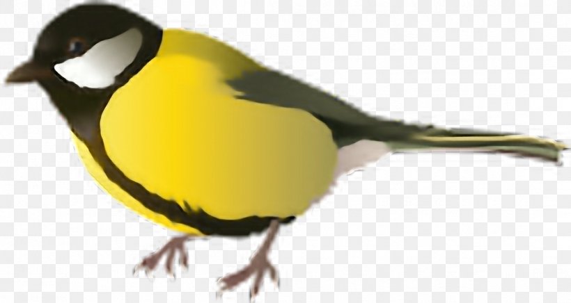 Bird Clip Art, PNG, 1096x584px, Bird, American Goldfinch, Beak, Chickadee, Fauna Download Free