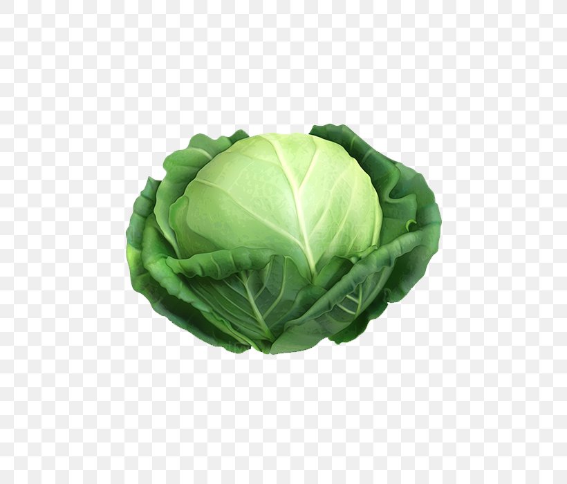 Cabbage Cauliflower Irish Cuisine Vegetable, PNG, 700x700px, Cabbage, Brassica Oleracea, Carrot, Cauliflower, Chinese Cabbage Download Free