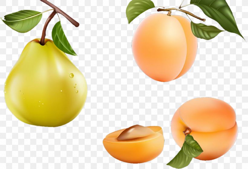 Apricot Fruit Food, PNG, 947x647px, Apricot, Apple, Citrus, Designer, Diet Food Download Free