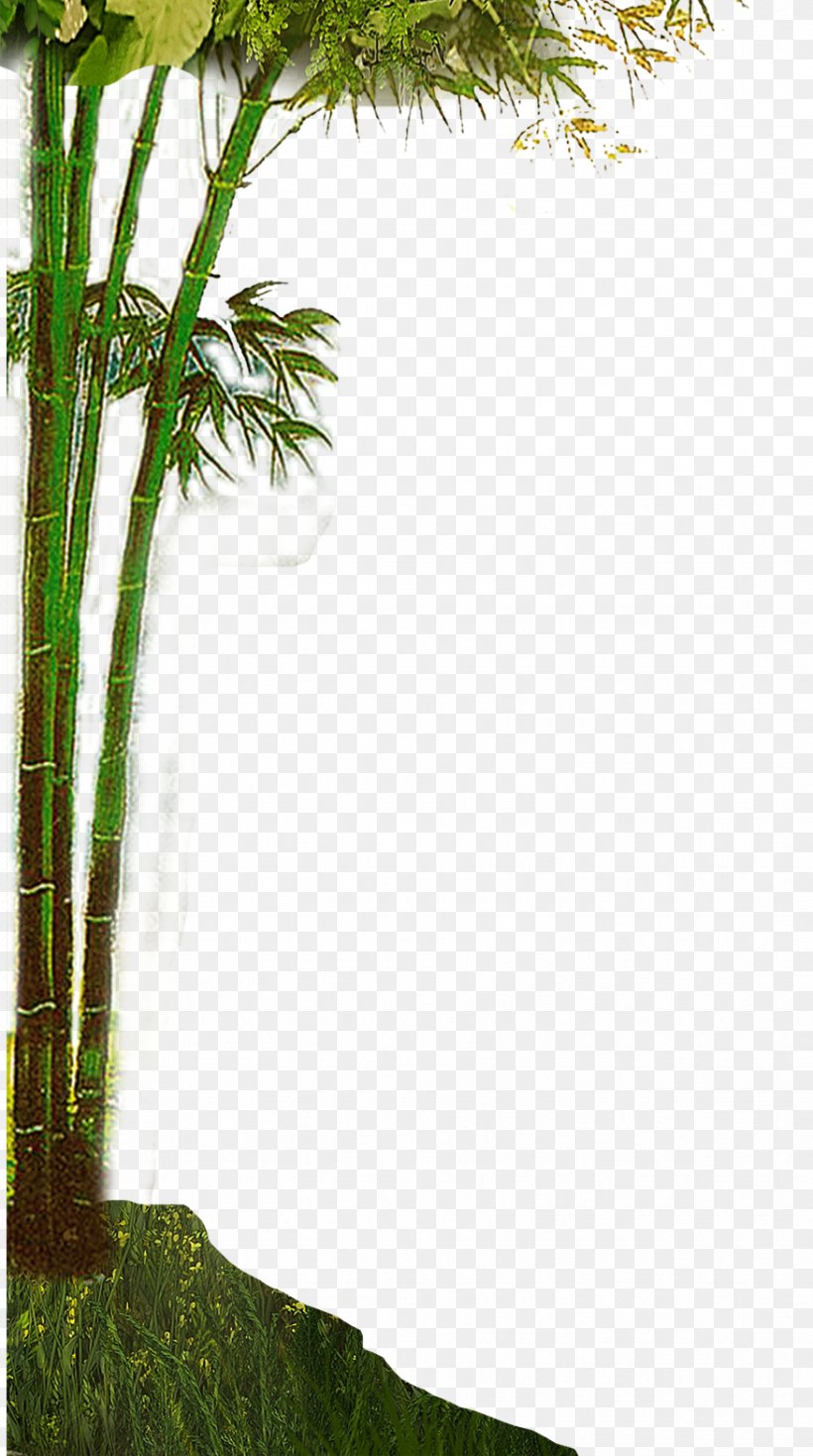 Bamboe Bamboo, PNG, 876x1570px, Bamboe, Bamboo, Branch, Dots Per Inch, Grass Download Free
