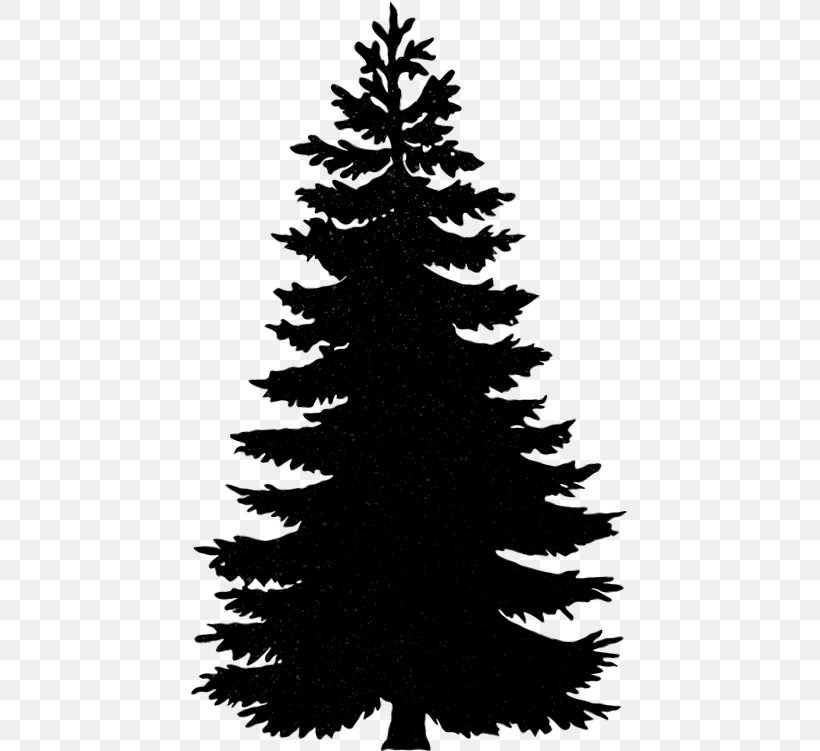 Conifers Balsam Fir Pine Image Noble Fir, PNG, 439x751px, Conifers, Balsam Fir, Black And White, Branch, Camping Download Free