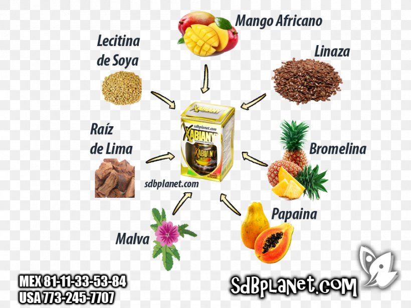Dietary Supplement Vegetarian Cuisine Capsule Food Fat, PNG, 900x676px, Dietary Supplement, Body, Capsule, Detoxification, Energy Download Free