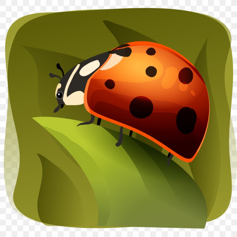 Mexico Cartoon Comisión Nacional Para El Conocimiento Y Uso De La Biodiversidad, PNG, 1000x1000px, Mexico, Animal, Beetle, Cartoon, Helmet Download Free