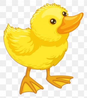 American Pekin Rubber Duck Clip Art, PNG, 512x512px, American Pekin ...