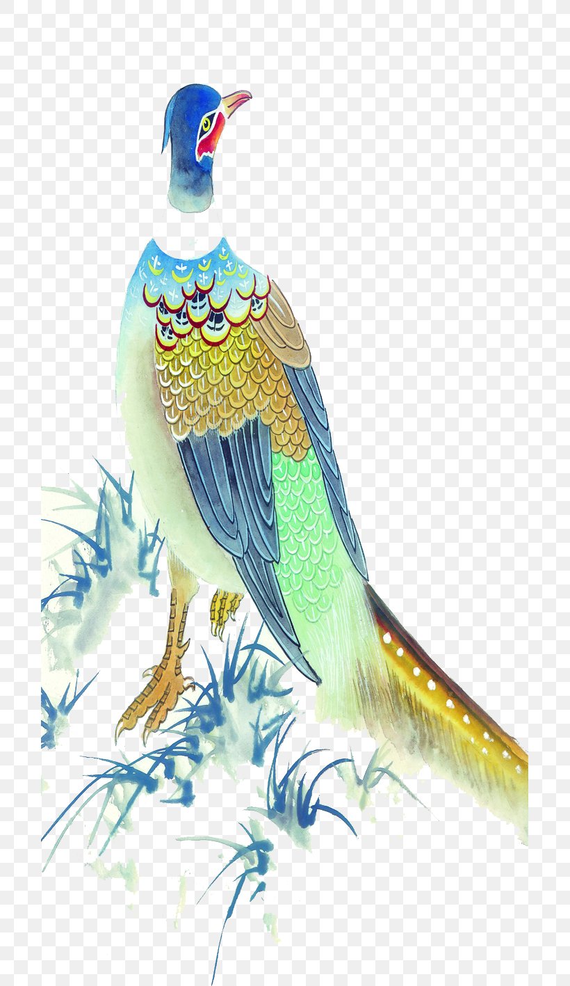 Peafowl Blue Peacock Illustration, PNG, 701x1417px, Peafowl, Animal, Art, Beak, Bird Download Free