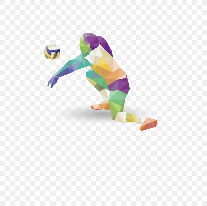Volleyball Sports League, PNG, 1600x1600px, Volleyball, Ball, Baseball, Beach Volleyball, Beak Download Free