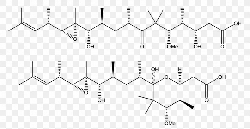 Gephyronic Acid Polyketide Triangle Technology, PNG, 1200x620px, Polyketide, Black And White, Diagram, Hardware Accessory, Isomer Download Free