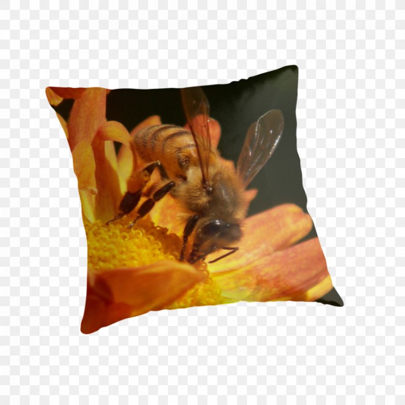 Honey Bee Throw Pillows Cushion, PNG, 875x875px, Honey Bee, Bee, Cushion, Honey, Insect Download Free