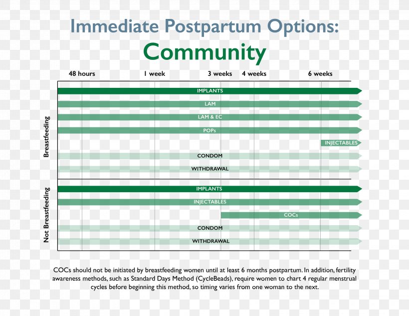 Web Page Organization Computer Program Line, PNG, 3300x2550px, Web Page, Area, Brand, Computer, Computer Program Download Free