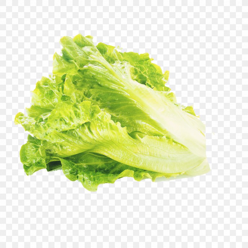 Lettuce Vegetable Organic Food Salad Spinner, PNG, 2953x2953px, Lettuce, Broccoli, Food, Fruit, Health Download Free