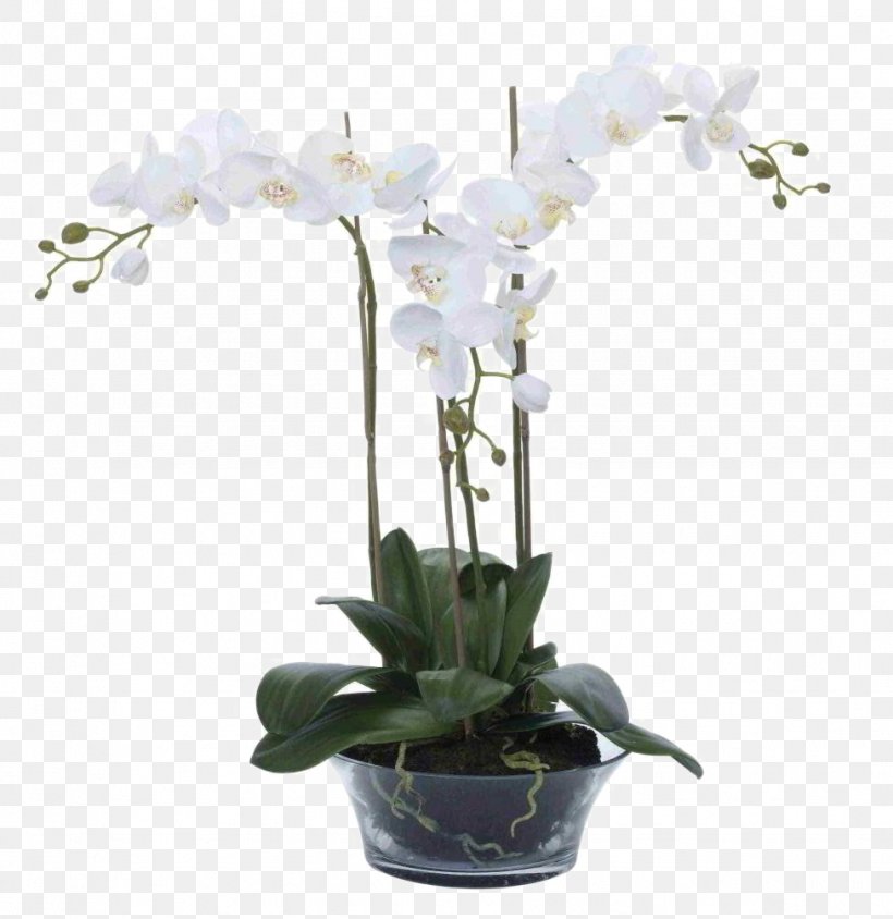 Moth Orchids Mirror Flower Vase, PNG, 976x1005px, Orchids, Artificial Flower, Boat Orchid, Color, Dendrobium Download Free