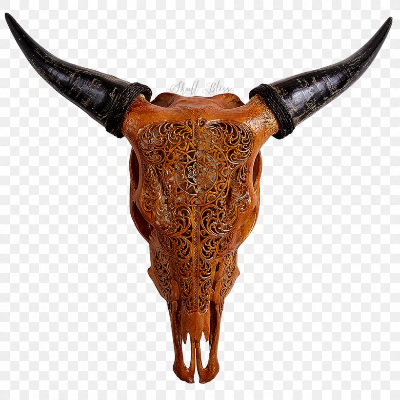 Texas Longhorn Animal Skulls Bull, PNG, 1000x1000px, Texas Longhorn, Animal, Animal Skulls, Bone, Bull Download Free