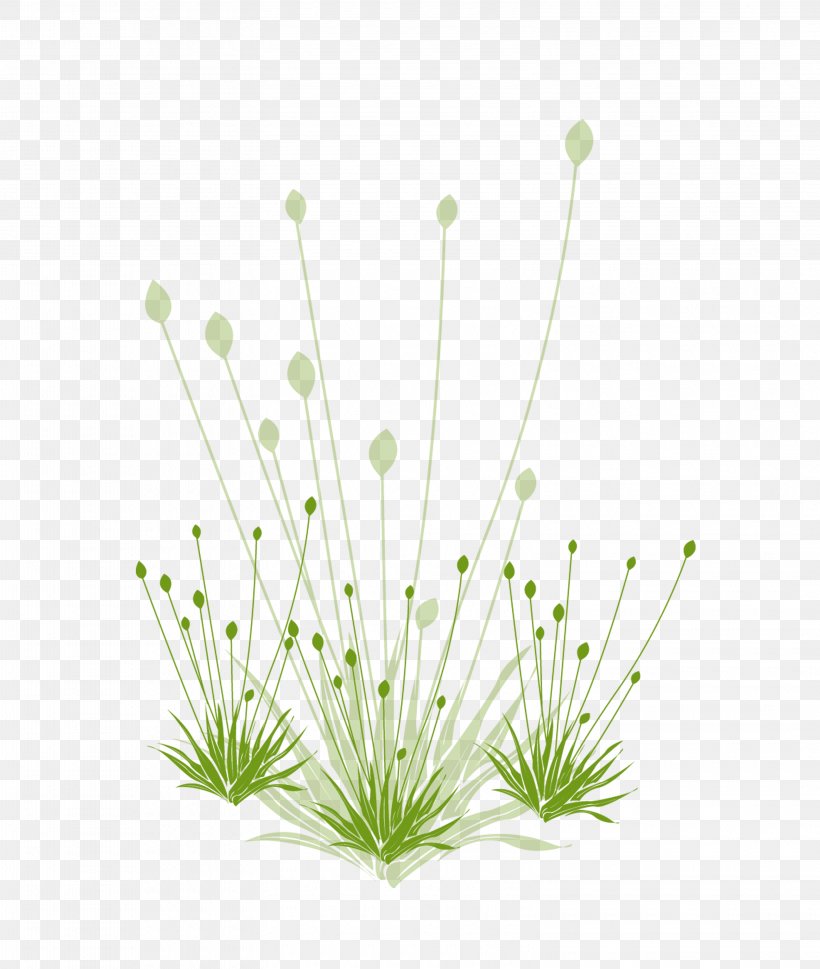 Download Google Images Grasses Icon, PNG, 3150x3723px, Google Images, Branch, Cartoon, Flora, Floral Design Download Free