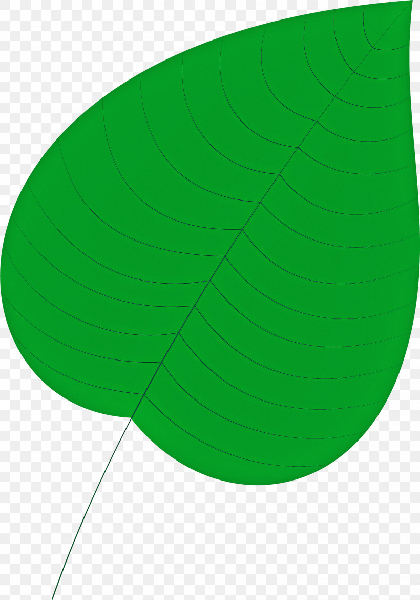 Leaf Circle Angle Green Science, PNG, 1974x2817px, Leaf, Analytic Trigonometry And Conic Sections, Angle, Biology, Circle Download Free