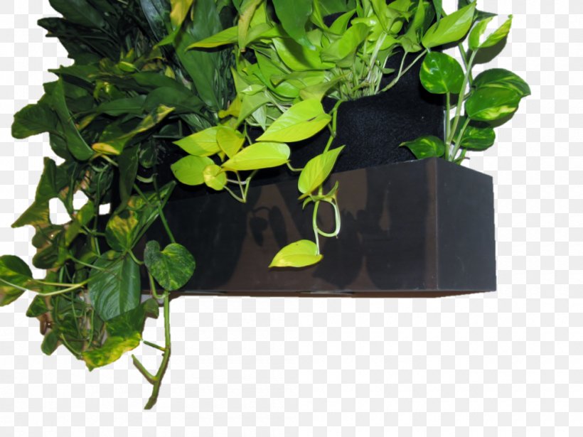 Plant Green Wall Flowerpot Reservoir, PNG, 1000x750px, Plant, Backflow, Backflow Prevention Device, Flowerpot, Garden Download Free