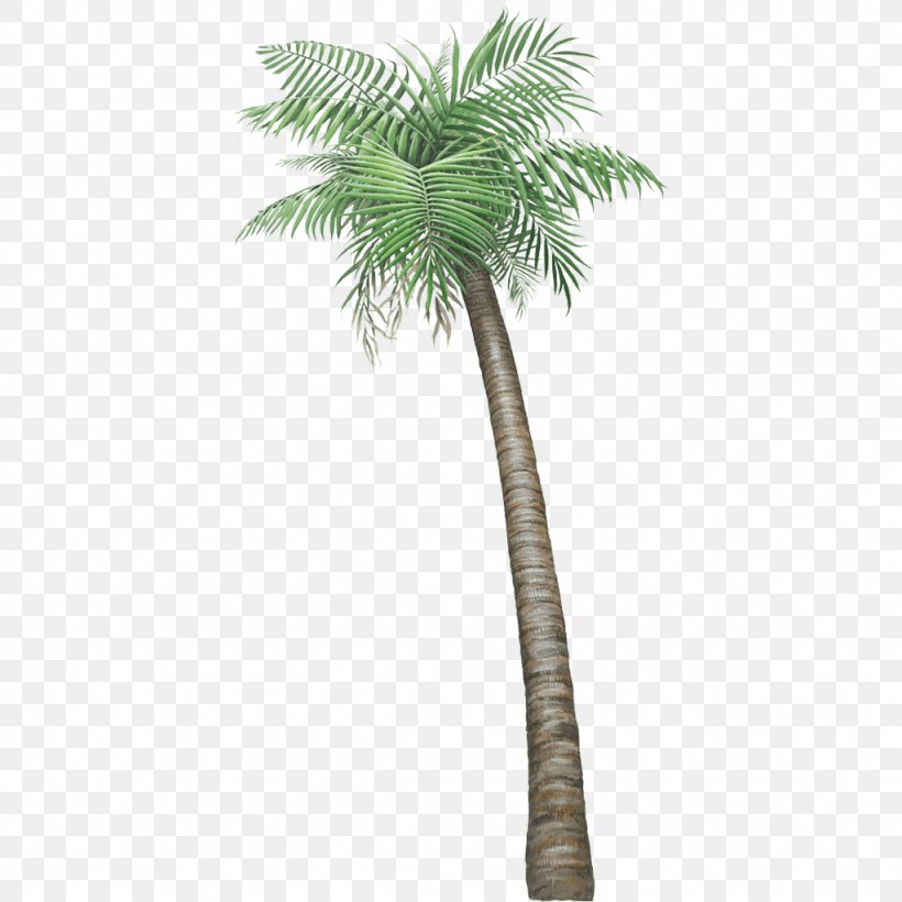 Wall Decal Arecaceae Houseplant Tree, PNG, 1024x1024px, Wall Decal, Areca Palm, Arecaceae, Arecales, Beaucarnea Recurvata Download Free