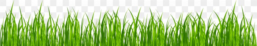 Animation Lawn Drawing Clip Art, PNG, 3840x698px, Animation, Cartoon, Chrysopogon Zizanioides, Comics, Commodity Download Free