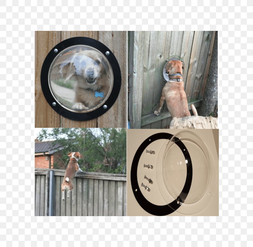 Dog Pet Fence Cat Window, PNG, 600x800px, Dog, Backyard, Cat, Dog Houses, Dogster Download Free
