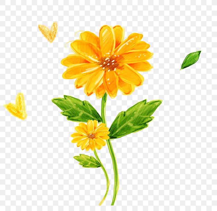 Icon, PNG, 800x800px, Flower, Annual Plant, Calendula, Cdr, Cut Flowers Download Free