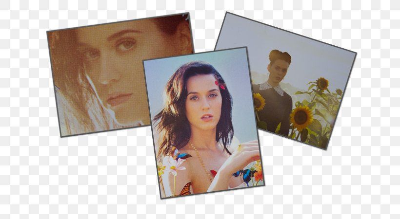 Katy Perry 2015 Square 12x12 Bravado Paper Katy Perry Custom Rectangle Pillowcase Custom Pillow Cases 50cm X 80cm (Two Sides) Synth-pop, PNG, 650x450px, Watercolor, Cartoon, Flower, Frame, Heart Download Free