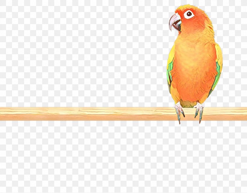 Lovebird, PNG, 950x743px, Cartoon, Animal, Beak, Bird, Bird Supply Download Free