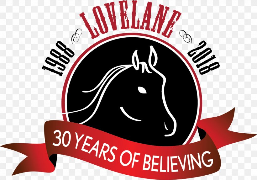 Lovelane Special Needs Horseback Riding Program Equestrian Equine Therapy Child, PNG, 1375x963px, Special Needs, Area, Brand, Child, Equestrian Download Free