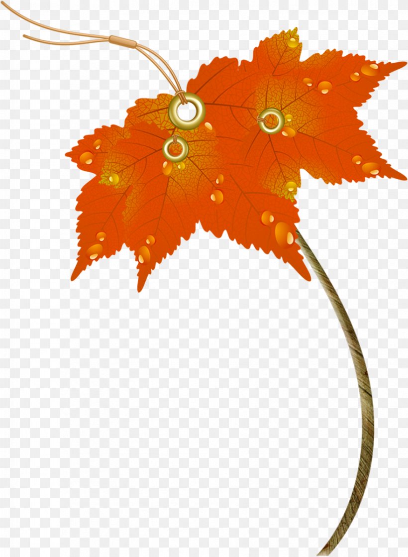 Maple Leaf Umbrella Autumn, PNG, 879x1200px, Leaf, Auringonvarjo, Autumn, Branch, Flora Download Free