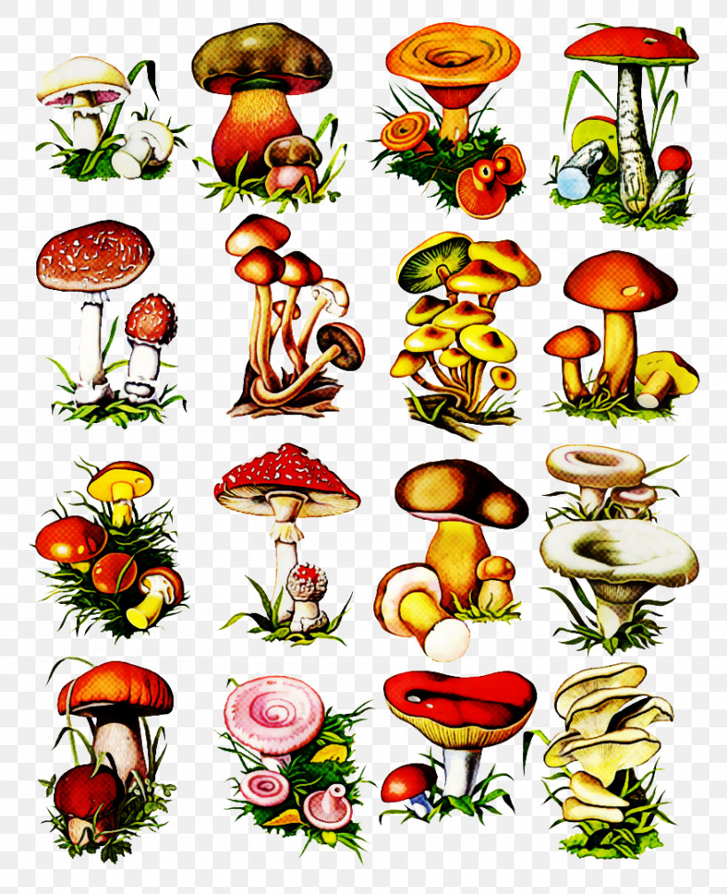 Mushroom Plant, PNG, 880x1082px, Mushroom, Plant Download Free