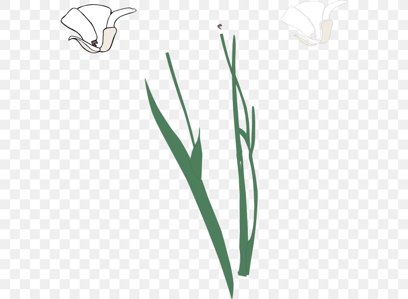 Plant Stem Flower Free Content Clip Art, PNG, 576x600px, Plant Stem, Branch, Common Daisy, Flora, Flower Download Free