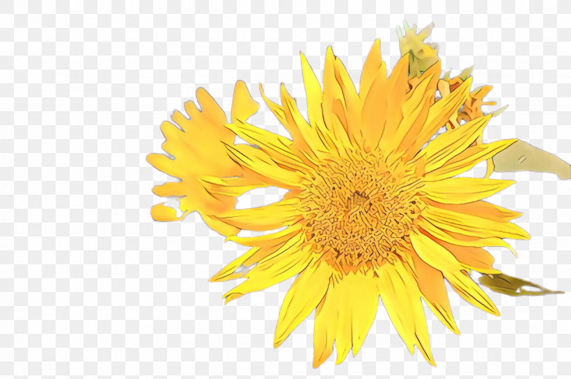 Sunflower, PNG, 2452x1632px, Flower, Daisy Family, Dandelion, Petal, Plant Download Free