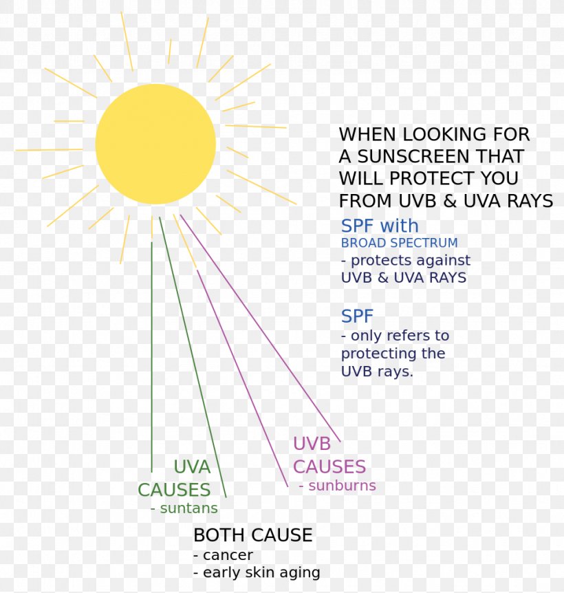 Sunlight Sunscreen Ray Diagram, PNG, 973x1024px, Sunlight, Area, Brand, Diagram, Energy Download Free