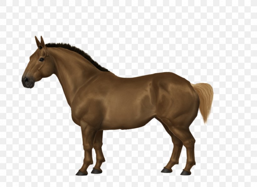 Arabian Horse Mane Mustang Stallion Mare, PNG, 1047x762px, Arabian Horse, Animal Figure, Bay, Breyer Animal Creations, Bridle Download Free