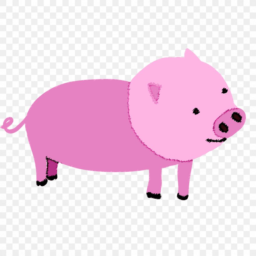 Domestic Pig Pork Clip Art, PNG, 1000x1000px, Pig, Animal, Bait, Crayon, Domestic Pig Download Free