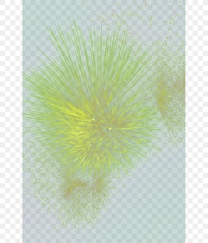 Petal Green Dandelion Wallpaper, PNG, 643x956px, Petal, Computer, Dandelion, Flora, Flower Download Free