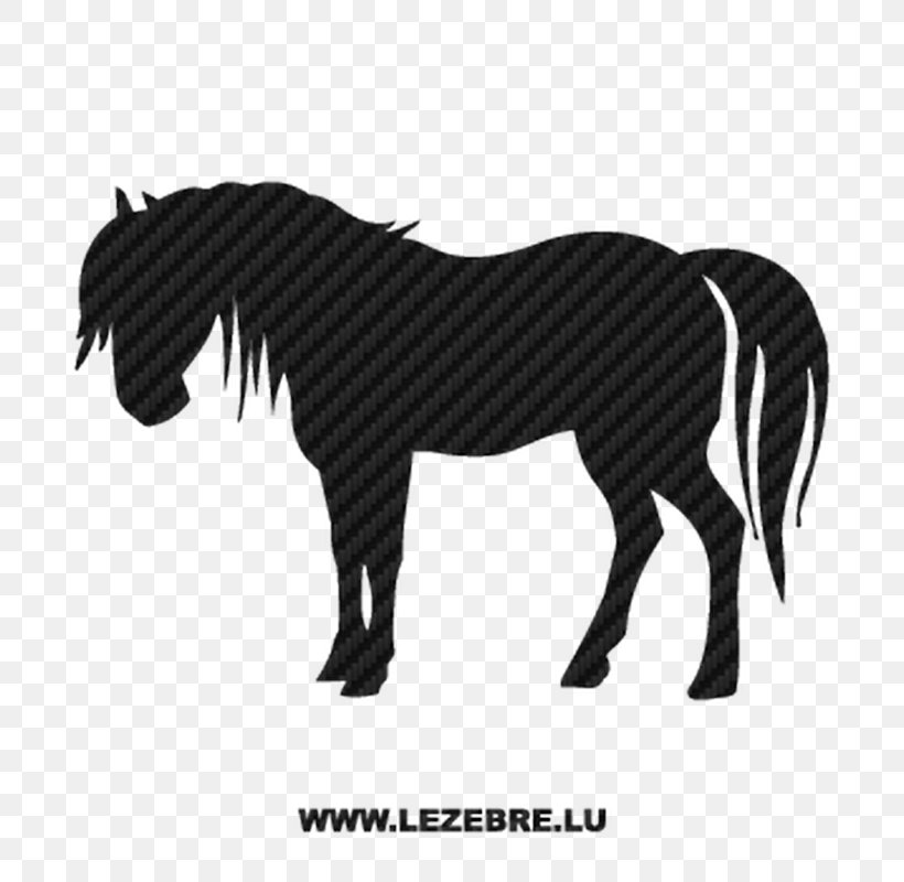 Pony Vector Graphics Arabian Horse Equestrian Horses & Ponies, PNG, 800x800px, Pony, Arabian Horse, Black, Black And White, Canter And Gallop Download Free