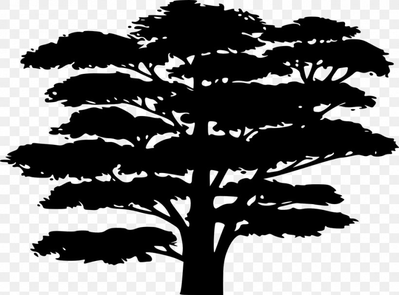 Silhouette Tree Drawing, PNG, 960x711px, Silhouette, Black And White, Branch, Conifer, Drawing Download Free