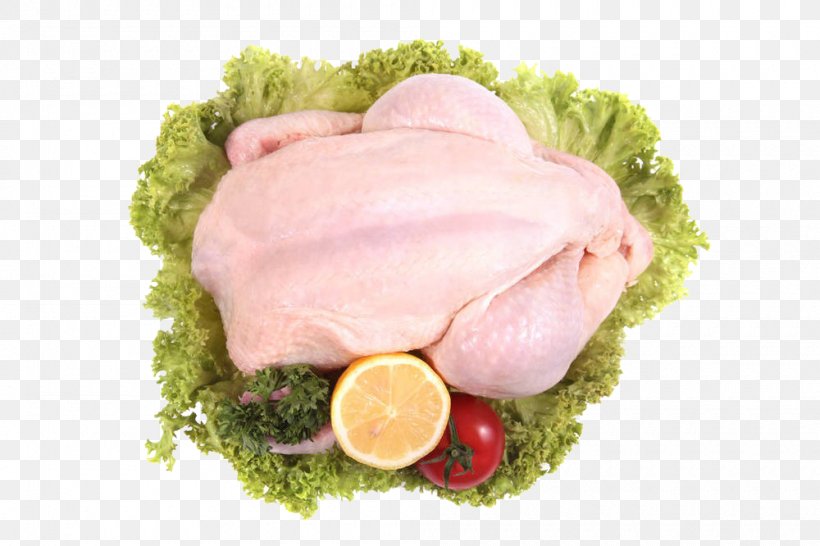 Chicken Meat Ham, PNG, 1000x666px, Chicken, Animal Source Foods, Chicken Meat, Diet Food, Dish Download Free