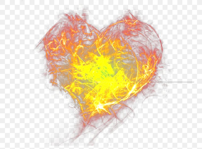 Fire Heart Wallpaper, PNG, 757x605px, Fire, Combustion, Concepteur, Designer, Flame Download Free