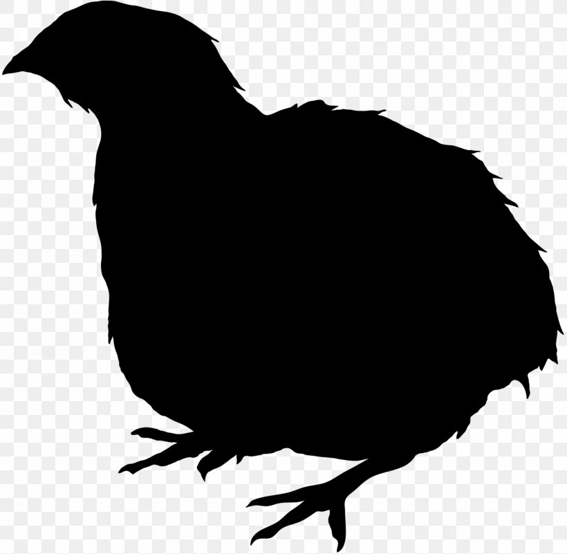 quail silhouette clip art