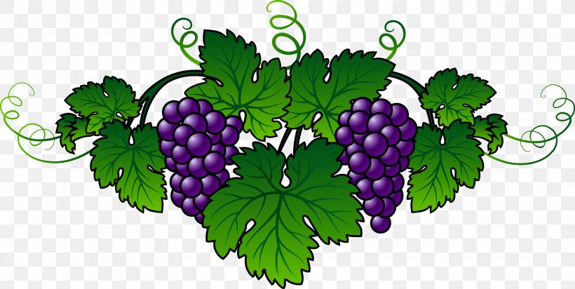 Wine Common Grape Vine Embroidery Berry, PNG, 2244x1128px, Wine, Berry, Common Grape Vine, Crossstitch, Embroidery Download Free