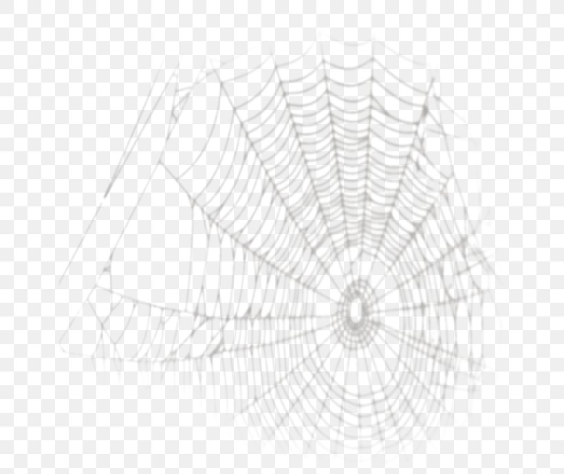 Spider Web Image Desktop Wallpaper, PNG, 650x689px, Spider Web, Diagram, Drawing, Line Art, Photography Download Free
