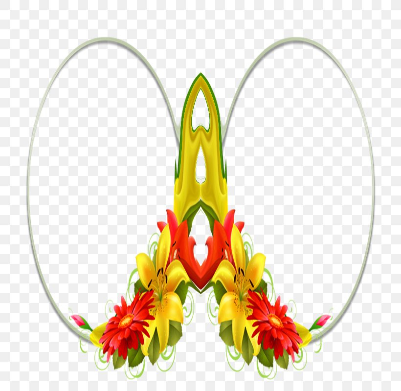 Petal Floral Design Flowering Plant, PNG, 800x800px, Petal, Floral Design, Flower, Flowering Plant, Plant Download Free